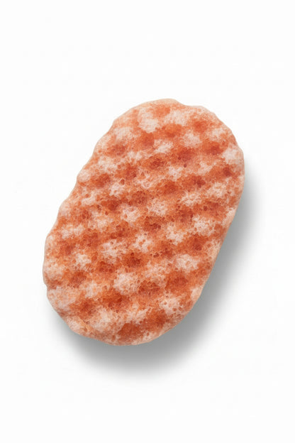 Scentsational Soap Sponge