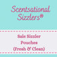 SALE! Sizzler Pouch - Fresh, Clean & Laundry