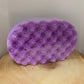Scentsational Soap Sponge