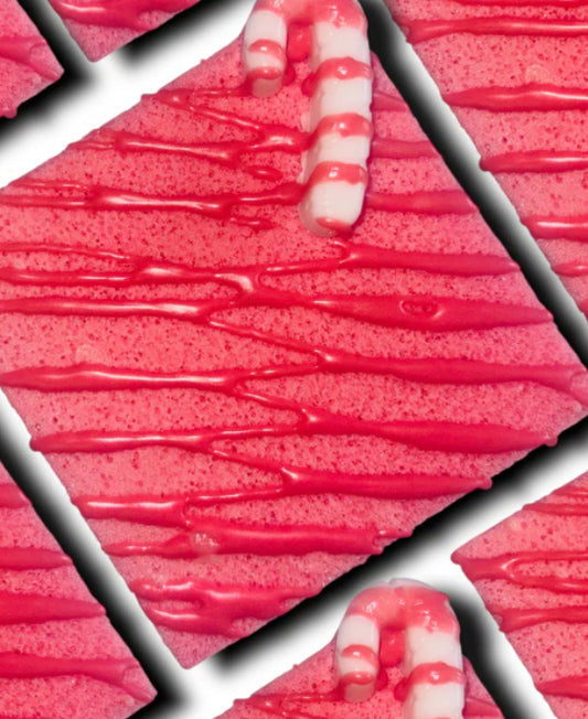 Christmas Soap Sponges