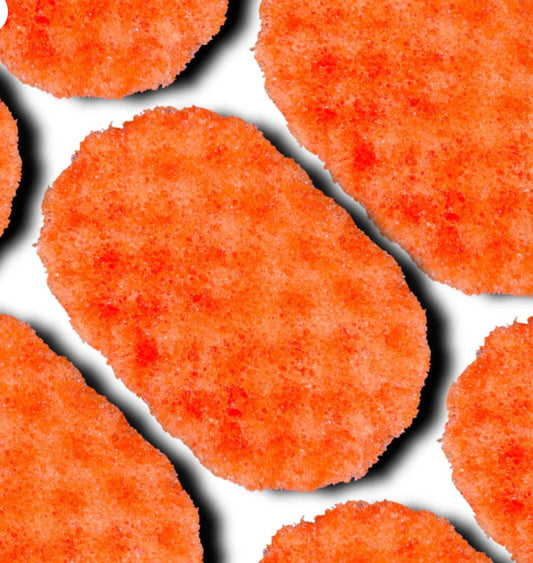 Pumpkin Spice Soap Sponge