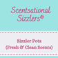 Fresh, Clean and Laundry Scents - Sizzler Pots