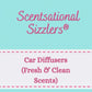 Fresh, Clean and Laundry Scents - Car & Home Fresheners