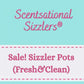 SALE! Sizzler Pots (Fresh&Clean)